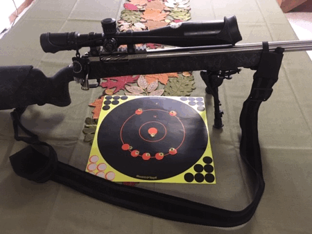 accuracy systems inc custom remington 700 .308 Win