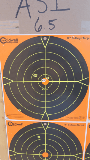 ar 10 308 and 6.5 creedmoor targets and rifles