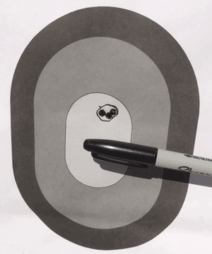 Mini 14, MINI200  Open sights, 75yds, Freedom Munitions .223 55gr FMJ