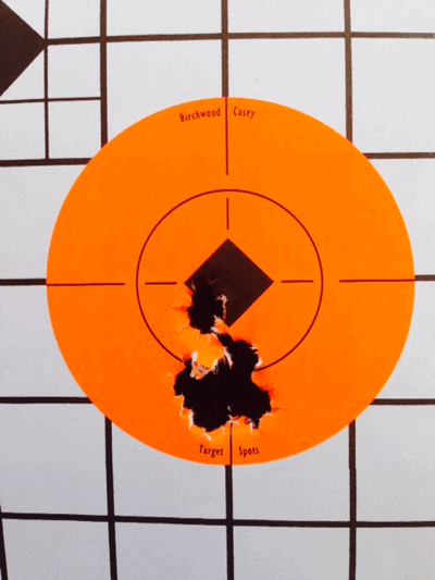 Rem 700 300 win mag 5 shot group