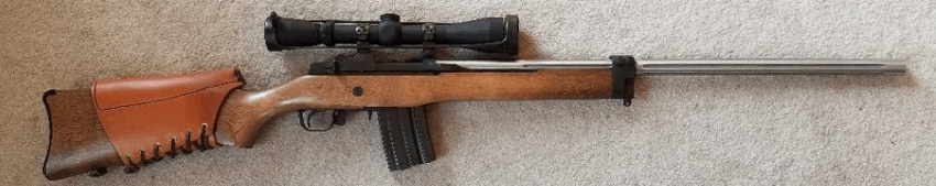 Customized Mini 14