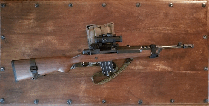 Pete Ruger Mini 14 Story