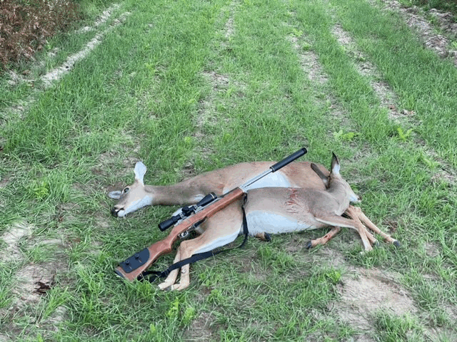 I harvested two Georgia whitetail does this morning! And I did it with the new Ruger 6.8