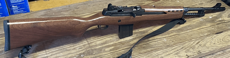 ASI Walnut Stock and matching hand guard