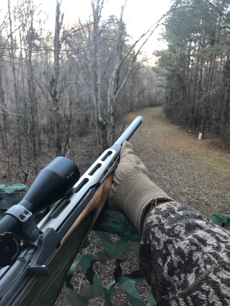 My mini-14 Target that you two transformed for me has proven to be a great hunter in the “closer-in” timber and fields (see lower picture) of NC and northern Alabama (where I do my whitetail deer hunting)!