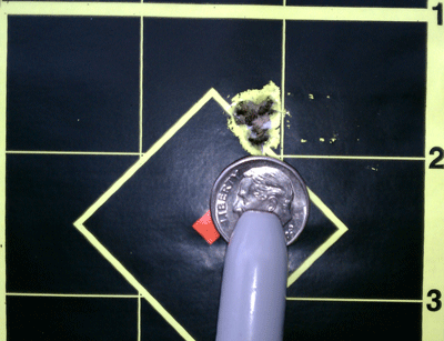 AR-15 .204 100 yard target