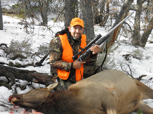 Cow Elk taken with Accuracy Systems Inc Custom Remington 700 Rifle