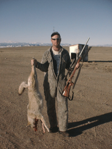 coyotes that fell victim to the rifle